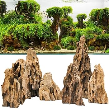 Amazon | 気孔石 黄虎石 蜂炎石 水槽 アクアリウム 花壇
